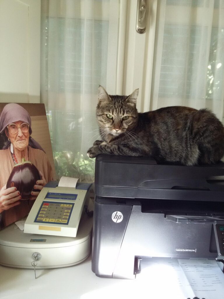 Fotoğraflar